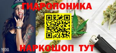 спиды Нарткала