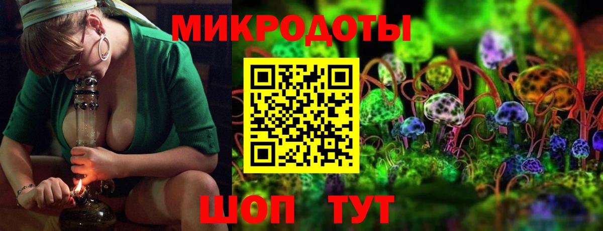 Псилоцибиновые грибы Cubensis Химки