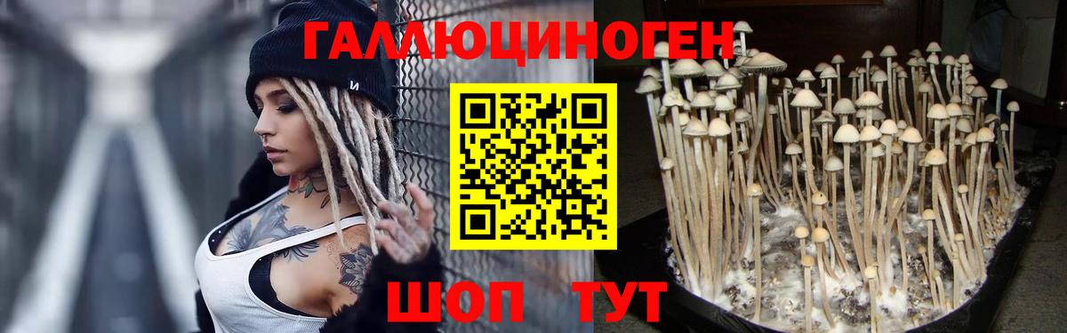 Галлюциногенные грибы GOLDEN TEACHER  Вход с VPN  Галлюциногенные грибы Magic Shrooms  Химки 